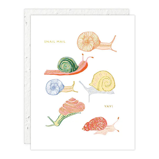 Snails Card