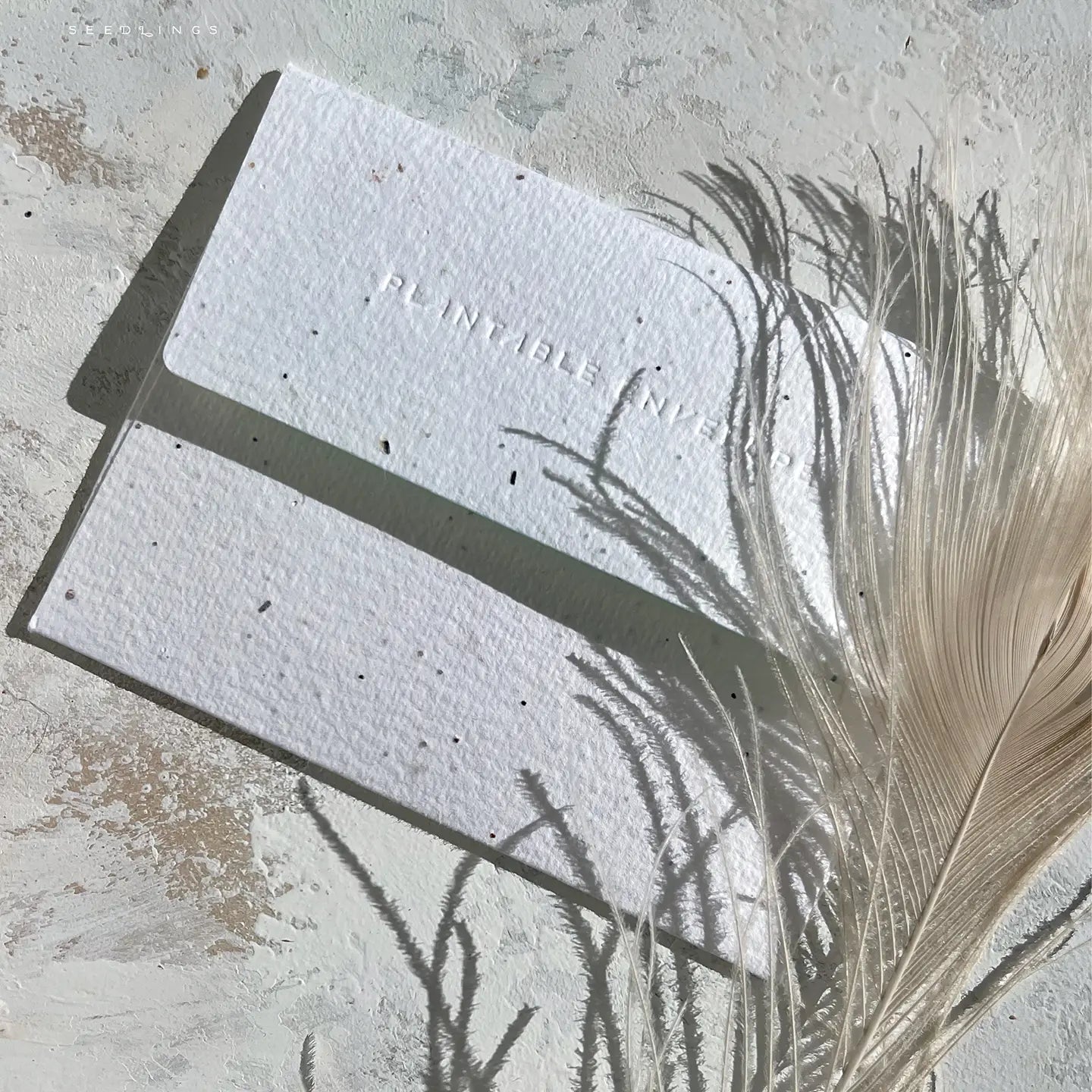 Treasures Card